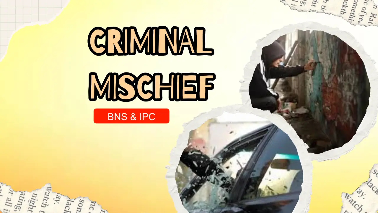 Criminal Mischief in BNS-324 & IPC-425 2
